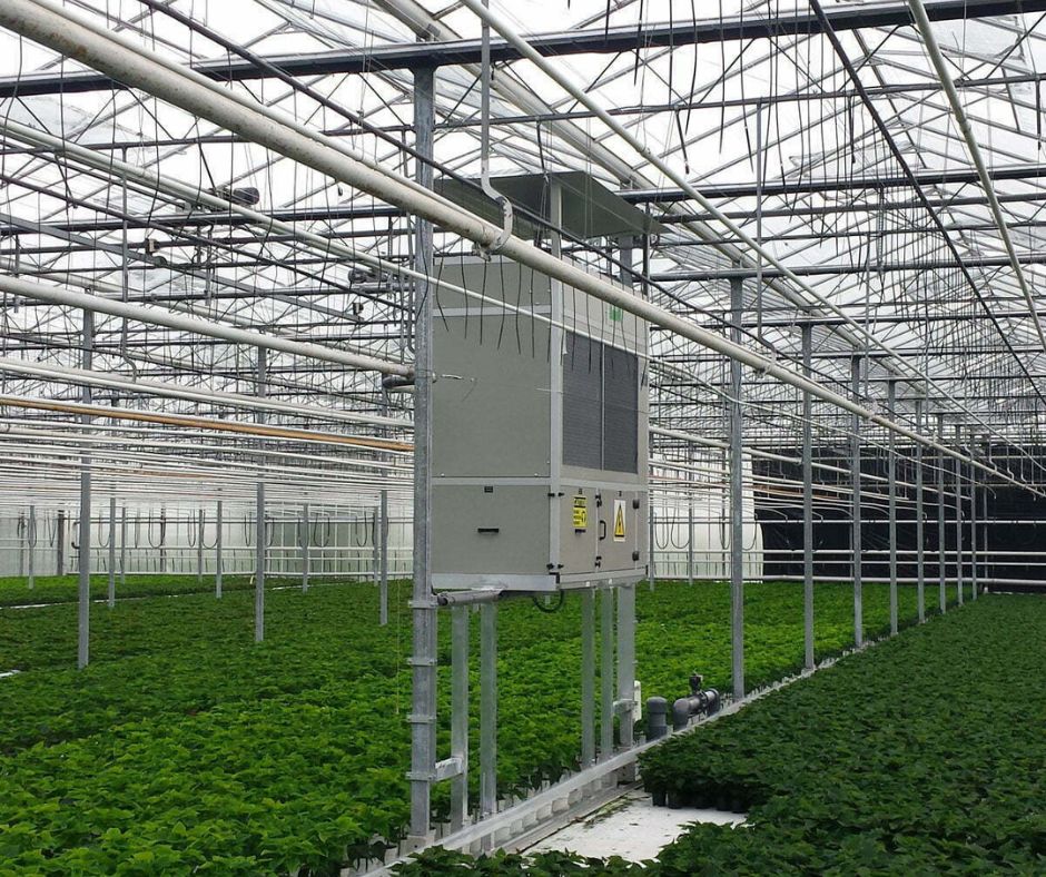 Serre agricole - gestion humidité